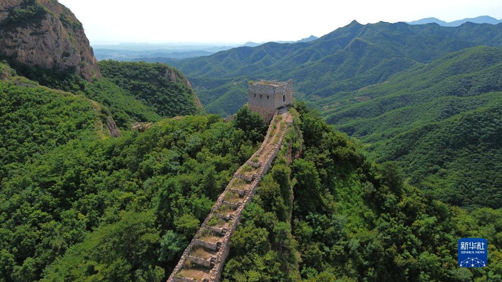 澳门十三弟注册